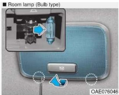 Room lamp (Bulb type) OAE076046