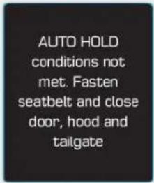AUTO HOLD conditions not met. Fasten seatbelt and close door, hood and tailgate