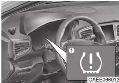 OAAE066012