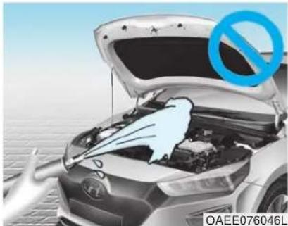 HYUNDAI Ioniq EV (2018) - NOTICE - 1