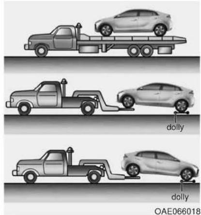 dolly dolly OAE066018