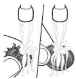 PHILIPS Series 9000 S9697 - English - 2