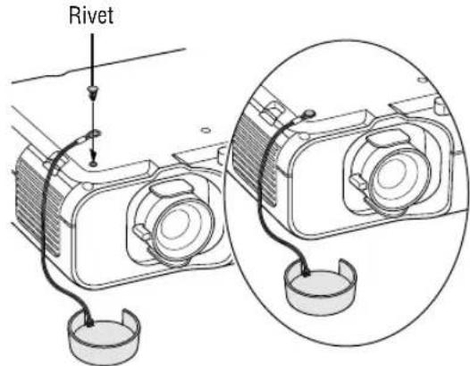 Rivet