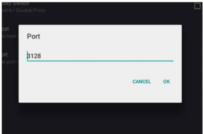 Port 3128 CANCEL OK