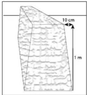 10 cm 1 m