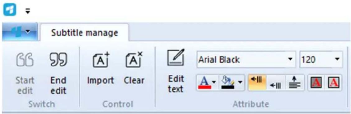 Subtitle manage Start edit End edit Switch Control Arial Black 120 Edit text Attribute