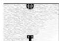 Lowel Tota-Light - Code: T1-34 - 4
