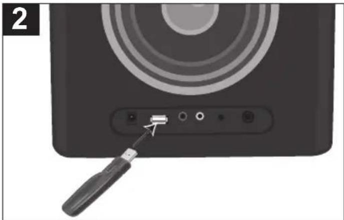 TDK TP6701BLK - USING A USB DEVICE (i.e. USB DRIVE) - 2