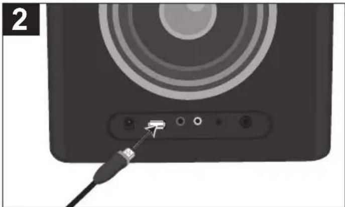 TDK TP6701BLK - USING AN iPod - 2
