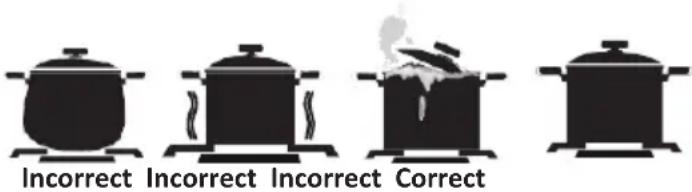 Incorrect Incorrect Incorrect Correct