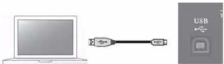 BOSS Nextone Artist - USB ⇌ -Anschluss - 1