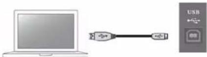 BOSS Nextone Artist - USB ⇌ -Anschluss - 1