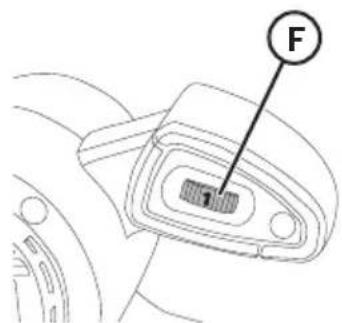 F 1