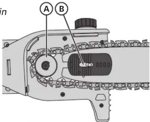 A B