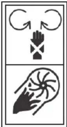 Diagram showing hand gesture and hand holding a brain, with directional arrows indicating motion or force.