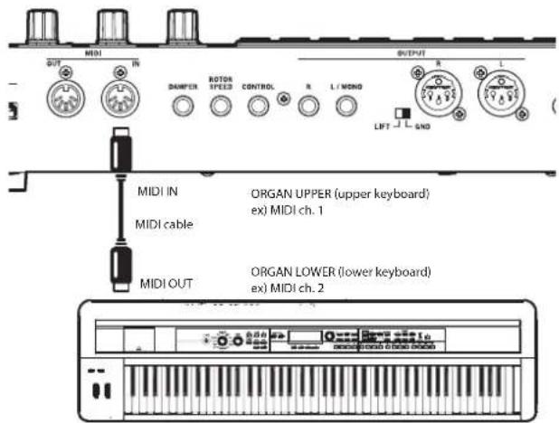 MIDI IN MIDI cable MIDI OUT DAMPER ROTOM SPEED CONTROL R L / MMON OUTPUT ORGAN UPPER (upper keyboard) ex) MIDI ch. 1 ORGAN LOWER (lower keyboard) ex) MIDI ch. 2