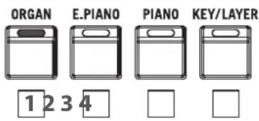 ORGAN E.PIANO PIANO KEY/LAYER 1 2 3 4