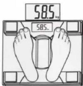 58.5 kg 58.5.