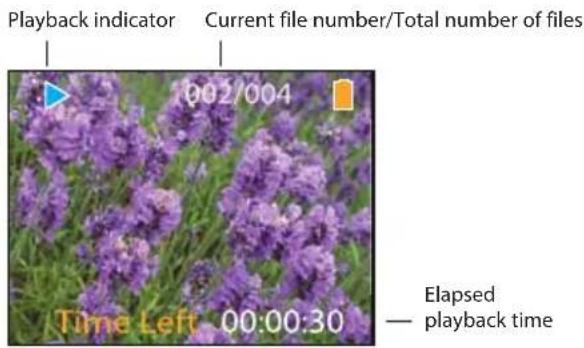 Playback indicator Current file number/Total number of files 002/004 Time Left 00:00:30 Elapsed — playback time