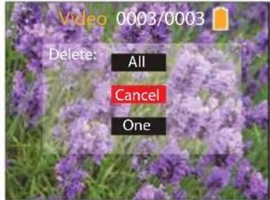 Video 0003/0003 Delete: All Cancel One