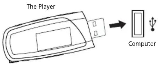 The Player Computer