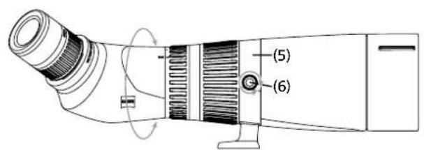 (5) (6)