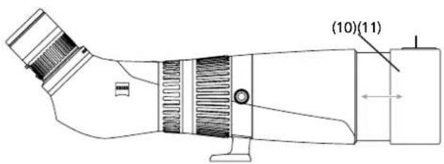 (10)(11)