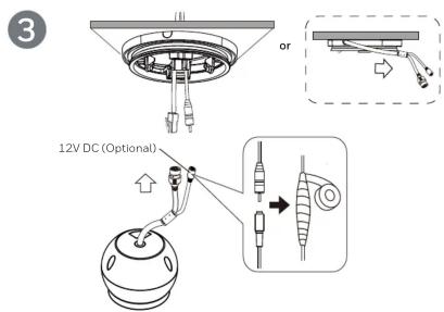3 or 12V DC (Optional)