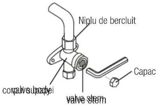 Niplu de bercluit capve subdyei valve stem Capac