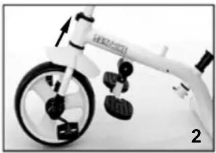 Chipolino Matrix - ASSEMBLY - 2