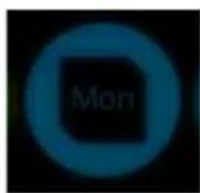 Atomos Ronin - Mon (Monitor) - 2