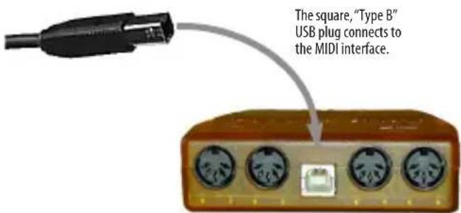 The square, "Type B" USB plug connects to the MIDI interface.