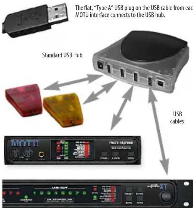 The flat, "Type A" USB plug on the USB cable from each MOTU interface connects to the USB hub. Standard USB Hub USB cables MOTU NOT GNTB 12346070 570 12346070 NOT GNTB 12346070 570 12346070 NOT GNTB 12346070