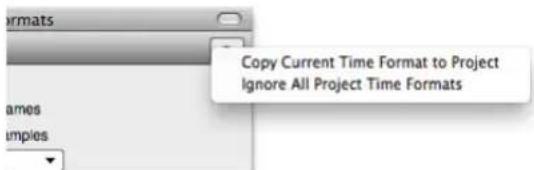 Formats Images Samples Copy Current Time Format to Project Ignore All Project Time Formats
