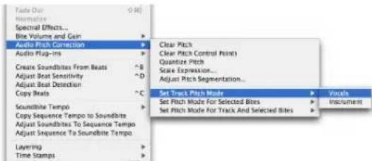 Audio Pitch Correction Clear Pitch Clear Pitch Control Points Quantize Pitch Scale Expression... Adjust Pitch Segmentation... Set Track Pitch Mode Set Pitch Mode For Selected Bites Set Pitch Mode For Track And Selected Bites Playoff Instrument