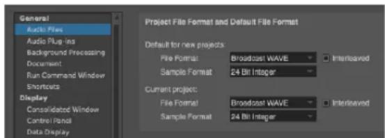 General Audio Files Audio Plug-ins Background Processing Document Run Command Window Shortcuts Display Consolidated Window Control Panel Data Display Project File Format and Default File Format Default for new projects: File Format: Broadcast WAVE Sample Format: 24 Bit Integer Current project: File Format: Broadcast WAVE Sample Format: 24 Bit Integer
