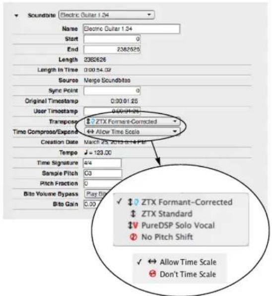 Soundtime Electric Guitar 1.34 Name Electric Guitar 1.34 Start 0 End 2382526 Length 2382626 Length In Time 0:00:54.02 Source Merge Soundbits Sync Point 0 Original Timestamp 0:00:01:26 User Timestamp 0:00:01:26 Transpos ZTX Formant-Corrected Time Compose/Expand Allow Time Scale Creation Date March 25, 2019-0-14 PM Tempo = 123.00 Time Signature 4/4 Sample Pitch C3 Pitch Fraction 0 Bite Volume Bypass Play 0.00 Bits Gain 0.00 ✓ ZTX Formant-Corrected ‡ ZTX Standard ♥ PureDSP Solo Vocal ♦ No Pitch Shift ✓ Allow Time Scale Don't Time Scale