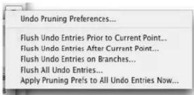 Undo Pruning Preferences... Flush Undo Entries Prior to Current Point... Flush Undo Entries After Currant Point... Flush Undo Entries on Branches... Flush All Undo Entries... Apply Pruning Preis to All Undo Entries Now...