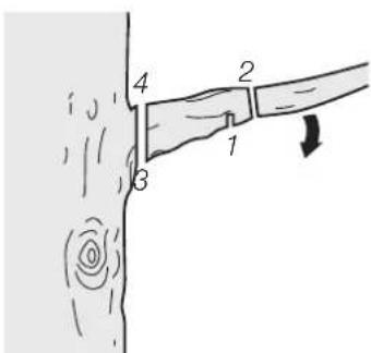 Diagram showing a hand holding a tool with labeled parts 1, 2, 3, and 4, and a directional arrow indicating movement or force.