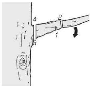 Diagram showing a hand holding a tool with labeled parts 1, 2, 3, and 4, and a directional arrow indicating motion or force.