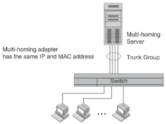 graph TD A["Multi-homing Server"] --> B["Switch"] C["Multi-homing adapter has the same IP and MAC address"] --> B D["Trunk Group"] --> B B --> E["Computer 1"] B --> F["Computer 2"] B --> G["..."] B --> H["Computer N"]