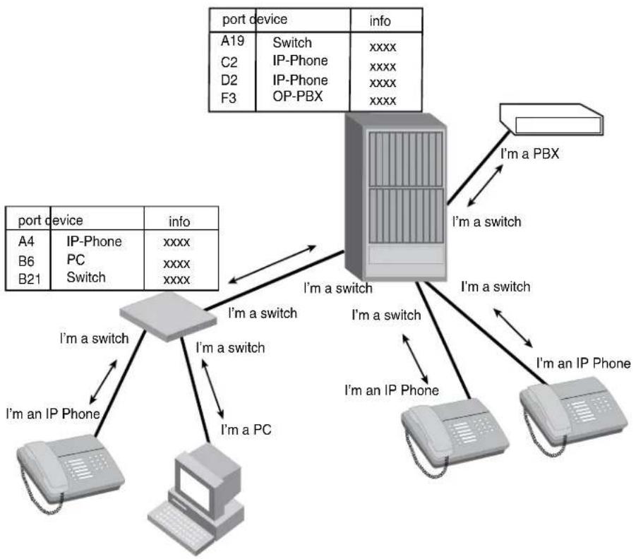 graph TD A["Port Device"] -->|I'm a switch| B["Server"] A -->|I'm a switch| C["IP Phone"] A -->|I'm a switch| D["PC"] A -->|I'm a switch| E["PC"] A -->|I'm a switch| F["IP Phone"] A -->|I'm a switch| G["IP Phone"] A -->|I'm a switch| H["IP Phone"] A -->|I'm a switch| I["IP Phone"] A -->|I'm a switch…