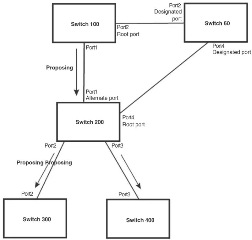 graph TD A["Switch 100"] -->|Port1| B["Switch 200"] A -->|Port2| C["Switch 60"] A -->|Port1, Port2, Port4, Port4, Port2, Port3, Port3, Port1, Port1, Port1, Port1, Port1, Port1, Port1, Port1, Port1, Port1, Port1, Port1, Port1, Port1, Port1, Port1, Port1, Port1, Port1, Port1, Port1, Port1, Port1, Port…