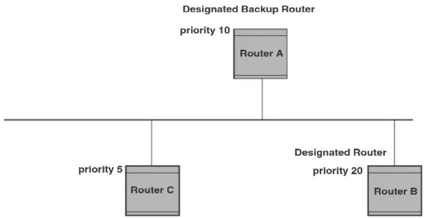 graph TD A["Router A"] -->|Priority 10| B["Router C"] A -->|Priority 5| C["Router B"] A -->|Priority 20| D["Router B"]