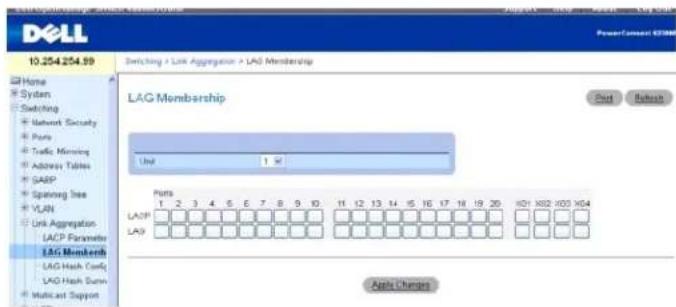 DELL 10.254.254.99 Switching / Link Aggregation / LAG Membership LAG Membership Unit 1 M Ports 1 2 3 4 5 6 7 8 9 10 11 12 13 14 15 16 17 18 19 20 HD1 HD2 HD3 HD4 LAGP LAG Apply Changes