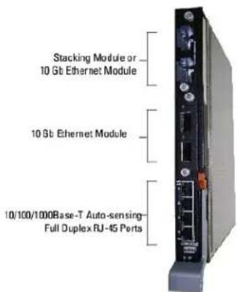 Stacking Module or 10 Gb Ethernet Module 10 Gb Ethernet Module 10/100/1000Base-T Auto-sensing- Full Duplex RJ-45 Ports