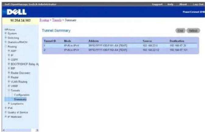 DELL PowerConnect M6220 - Zusammenfassende Daten zu Tunneln - 1