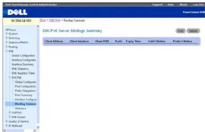 DELL PowerConnect M6220 - Zusammenfassende Daten zu DHCPv6-Serverbindungen - 1