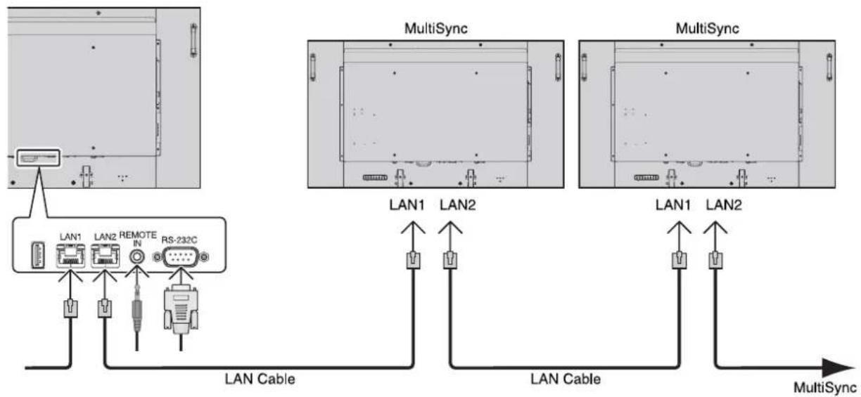 NEC MultiSync MDC551C8 - Multiple Monitors Connection - 1