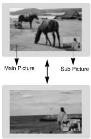Main Picture Sub Picture